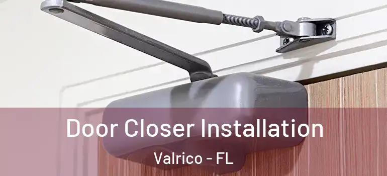  Door Closer Installation Valrico - FL
