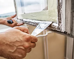 Professional Door and Windows Installation in Valrico, FL