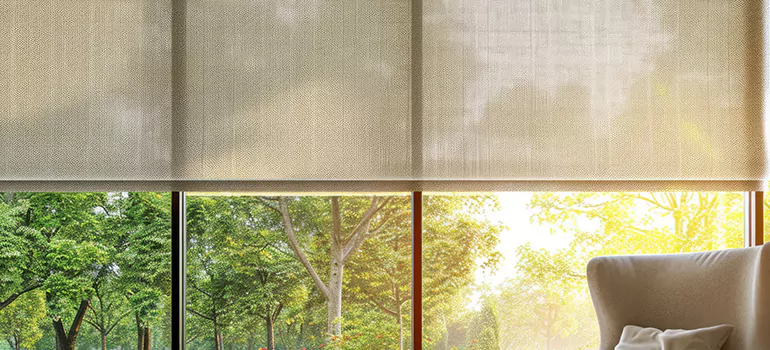 Custom Window Shades in Valrico, FL