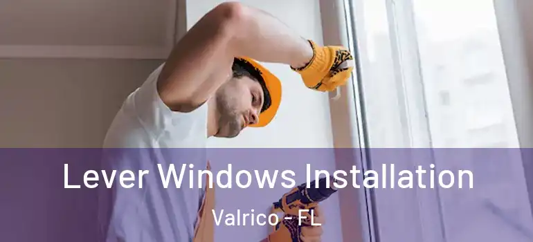 Lever Windows Installation Valrico - FL