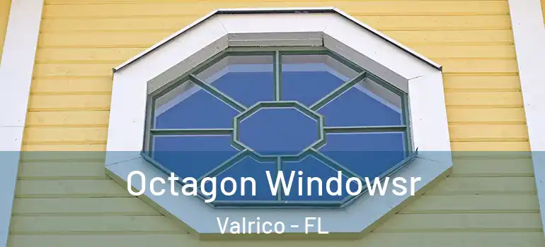  Octagon Windowsr Valrico - FL