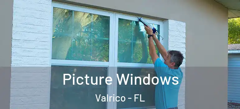  Picture Windows Valrico - FL