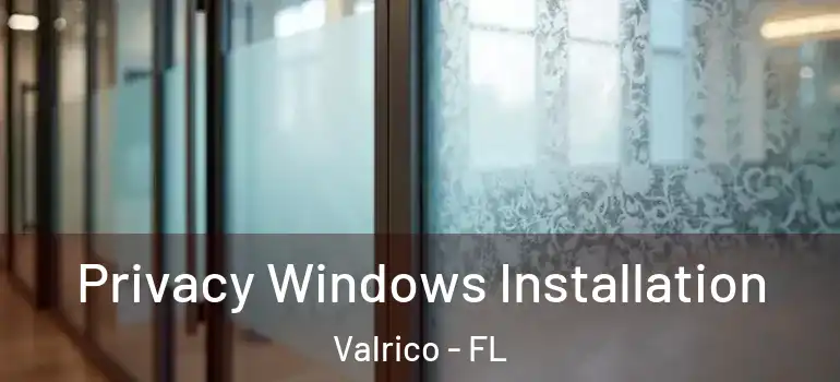  Privacy Windows Installation Valrico - FL