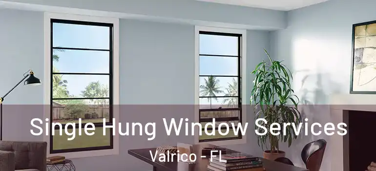  Single Hung Window Services Valrico - FL