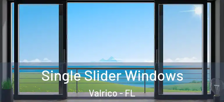  Single Slider Windows Valrico - FL