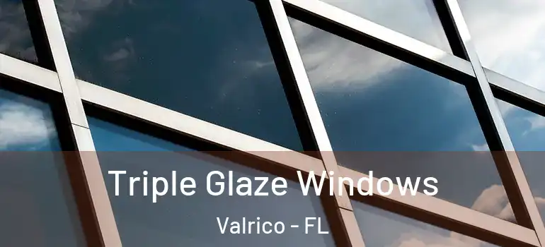  Triple Glaze Windows Valrico - FL