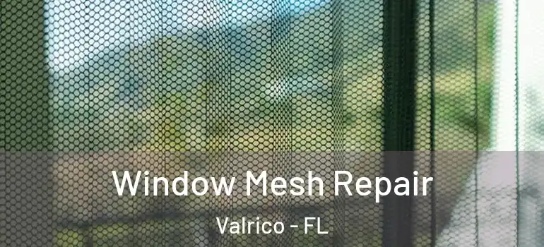  Window Mesh Repair Valrico - FL