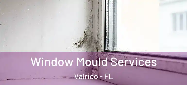  Window Mould Services Valrico - FL