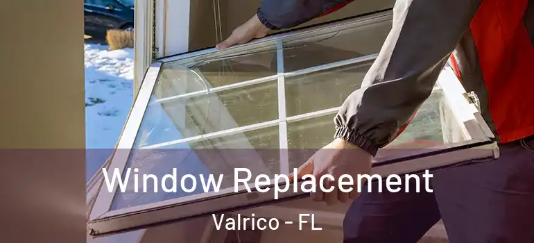  Window Replacement Valrico - FL