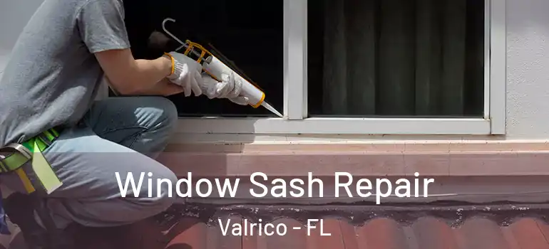  Window Sash Repair Valrico - FL