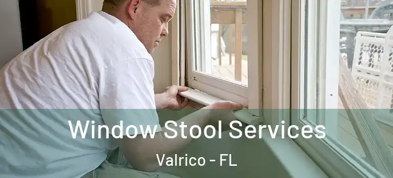  Window Stool Services Valrico - FL