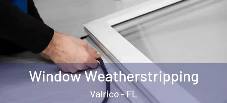  Window Weatherstripping Valrico - FL