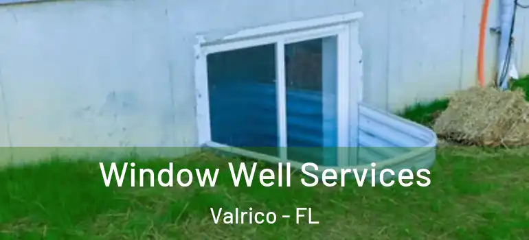 Window Well Services Valrico - FL